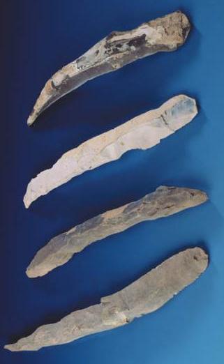 File:Fers de lance de Spiennes .jpg