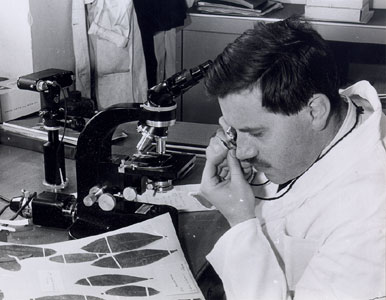 File:20190401135024!Robyns, Andre.jpg